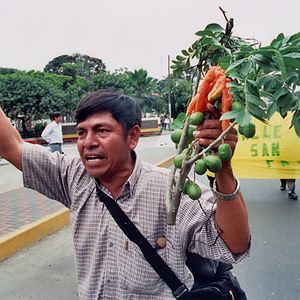 Photo Tambogrande: Mangos, Muerte, Mineria