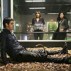 Photo Scorpion