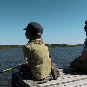 Photo Sang finnois, coeur suédois