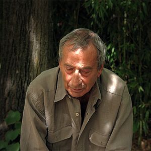 Photo Dario Marconcini