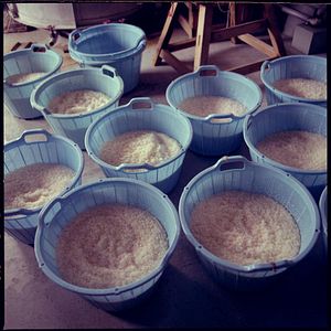 Photo The Birth of Saké