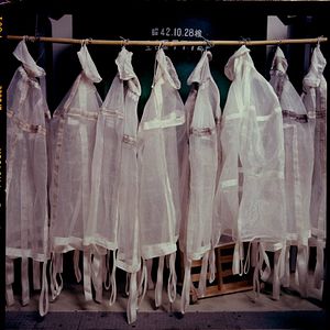 Photo The Birth of Saké