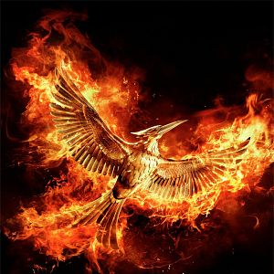 Photo Hunger Games - La Révolte : Partie 2