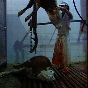 Photo Sangre de mi sangre