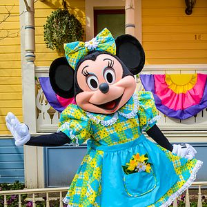 Photo Minnie Mouse