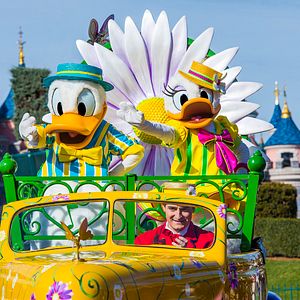 Photo Daisy