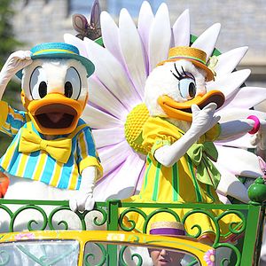 Photo Donald