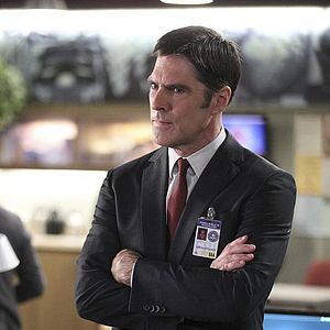 Photo Thomas Gibson
