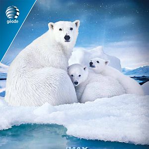 Photo Arctique
