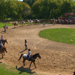 Photo Horse Camp: En quête d'amour