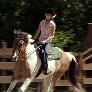Photo Horse Camp: En quête d'amour