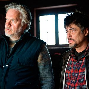 Photo Tim Robbins