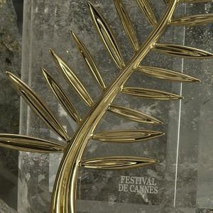 Photo La Légende de la Palme d’or