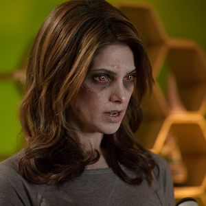 Photo Ashley Greene Khoury