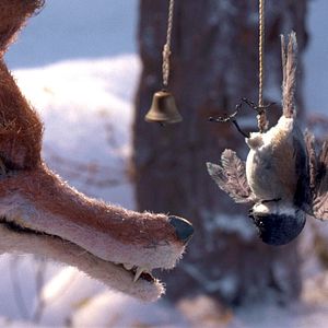 Photo Les Fables de Monsieur Renard