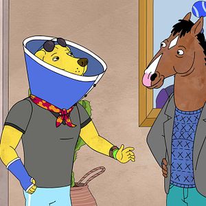 Photo BoJack Horseman