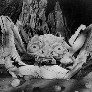 Photo L'attaque des crabes géants