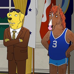 Photo BoJack Horseman