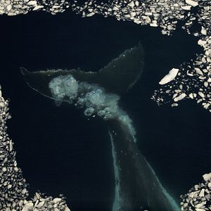Photo La Glace et le Ciel