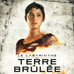 Photo Le Labyrinthe : La Terre brûlée