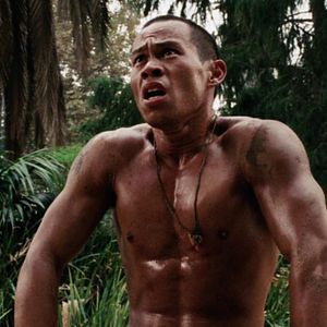 Photo Bienvenue dans la jungle