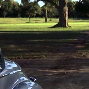 Photo N'oublie jamais