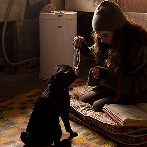 Photo Raffey Cassidy