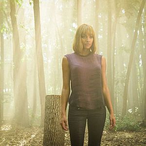 Photo Under The Dome