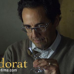 Photo L'Odorat
