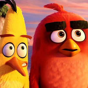 Photo Angry Birds - Le Film
