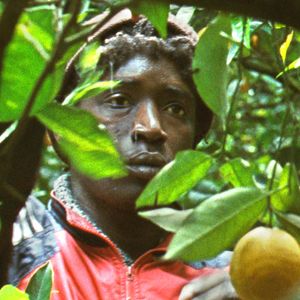 Photo Koudous Seihon