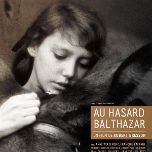 Photo Au hasard Balthazar