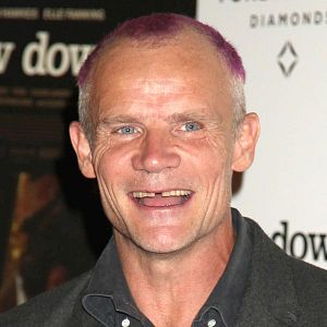 Photo Flea