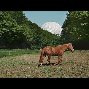 Photo The Visit - une rencontre extraterrestre