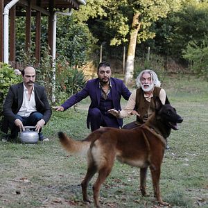 Photo Düğün Dernek 2: Sünnet