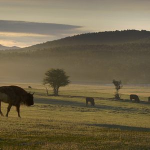 Photo Les Saisons