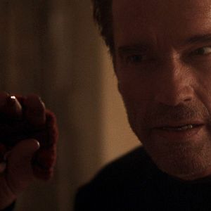 Photo Arnold Schwarzenegger