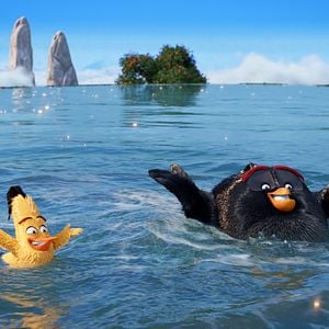 Photo Angry Birds - Le Film