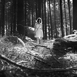 Photo The Forest of the Lost Souls