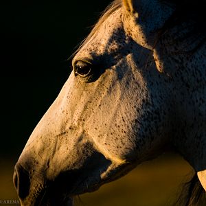 Photo Beyond our arena