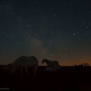 Photo Beyond our arena