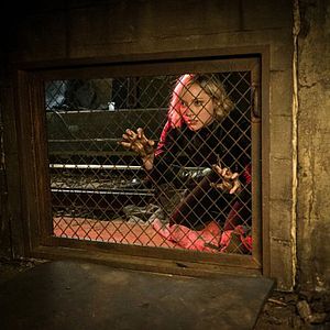 Photo Georgina Haig