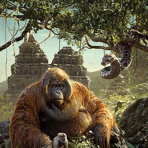 Photo Le Livre de la jungle