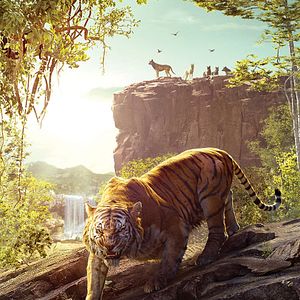 Photo Le Livre de la jungle