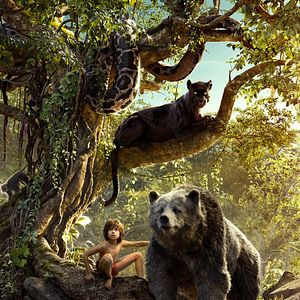Photo Le Livre de la jungle