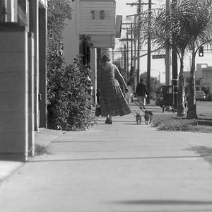 Photo Pursuit of Loneliness
