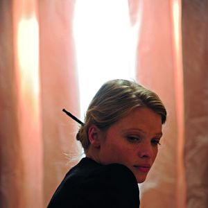 Photo Comme des frères