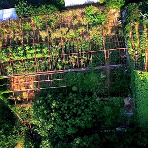 Photo Le Potager de mon grand-père