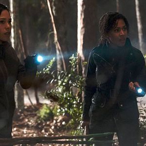 Photo Nicole Beharie