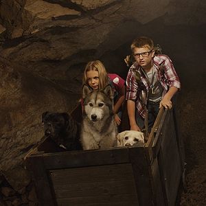 Photo Timber et la carte au trésor